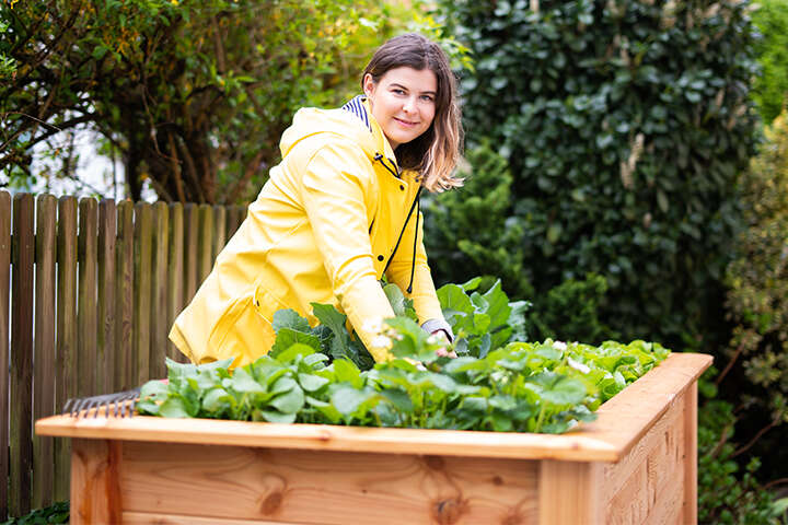 themenwelt maße und standort des hochbeets